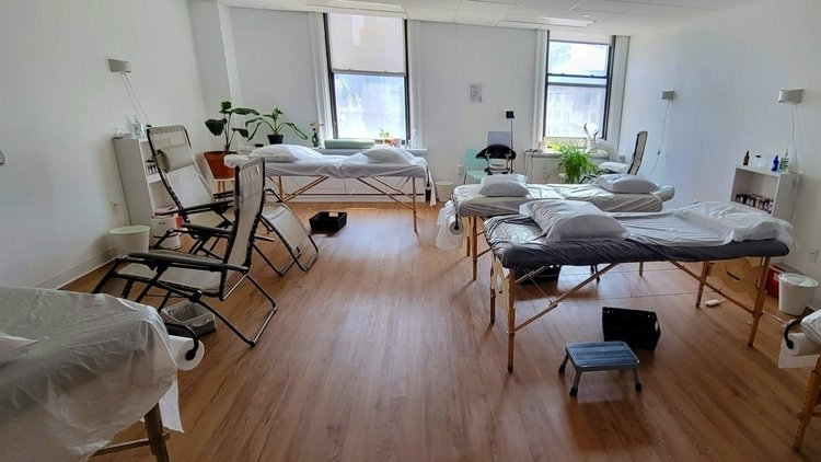 Office workspace with chair, lamp, and decorative plant