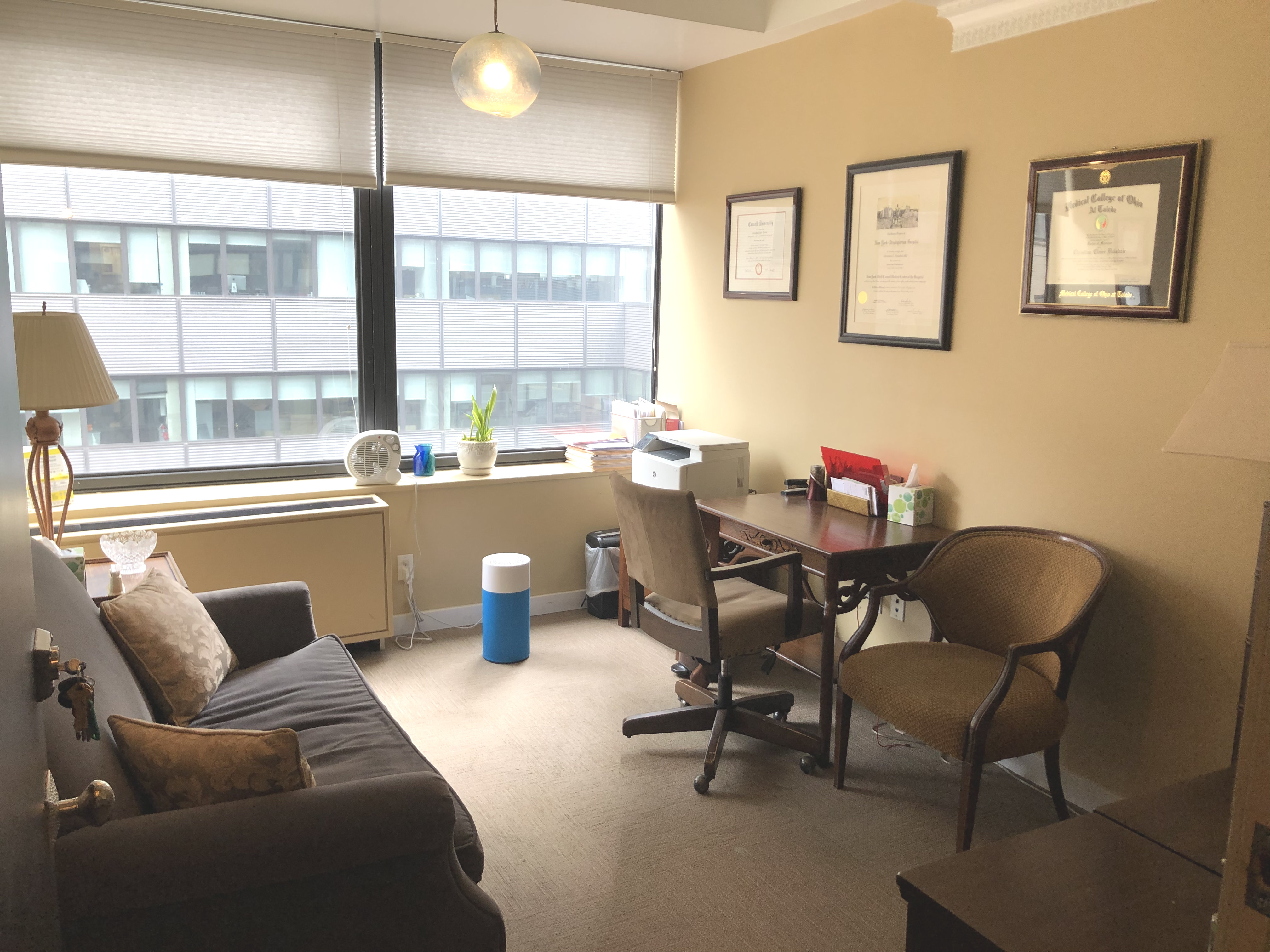 Living room style office with couch and coffee table