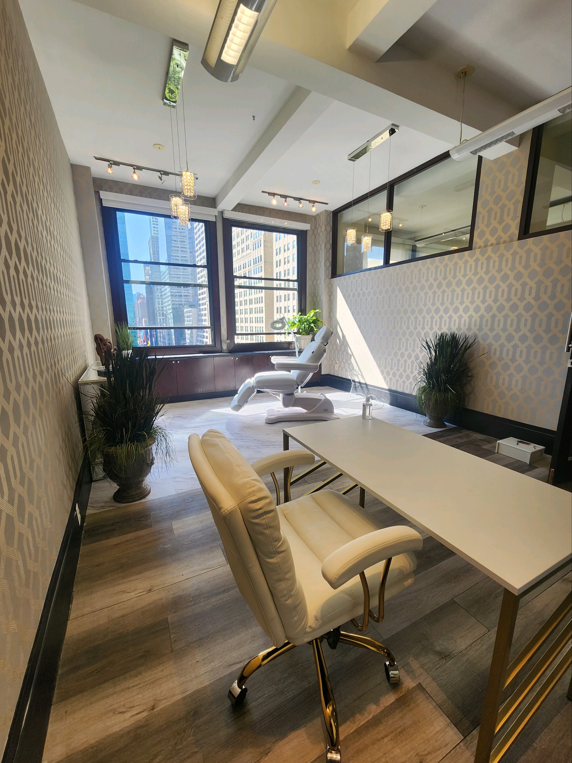 Well-furnished office with plants and modern furniture