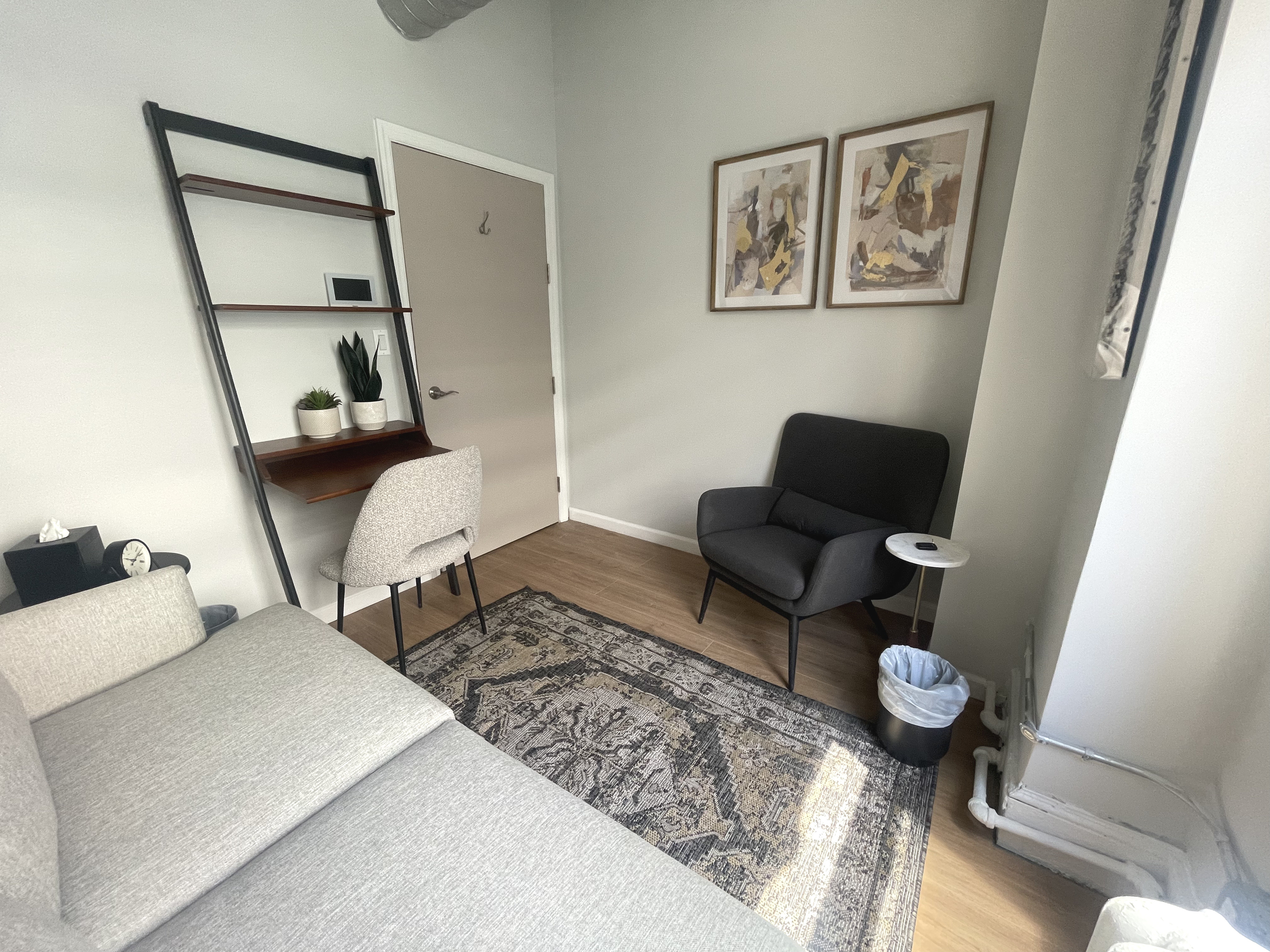 Living room setup with couch, chairs, and decorative plant