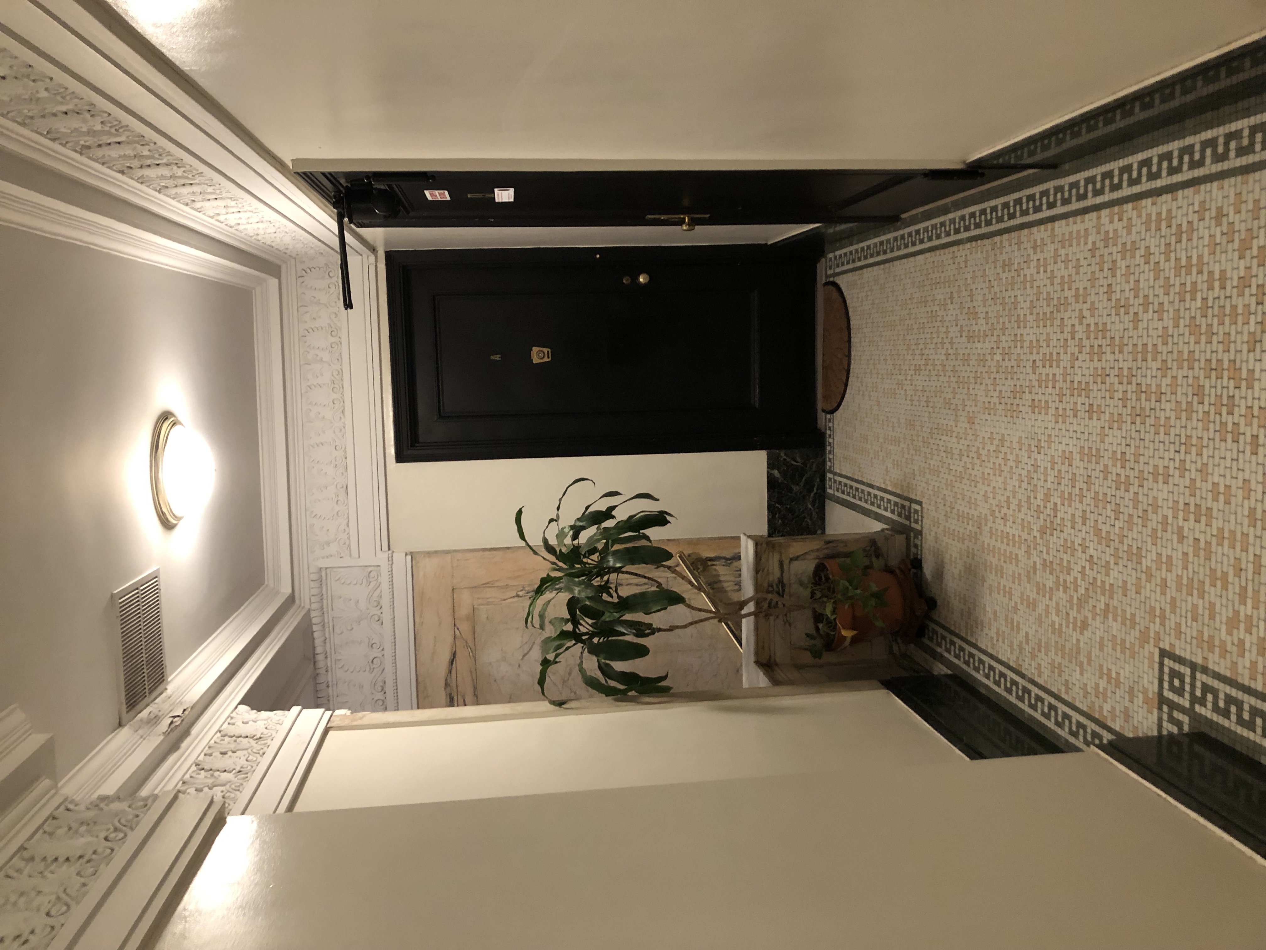 Foyer with rug, plant, and interior lighting
