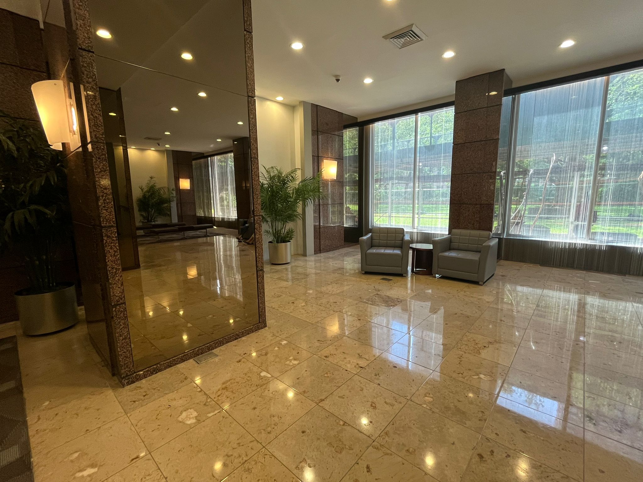 Foyer with wood flooring, plants, and lighting fixtures