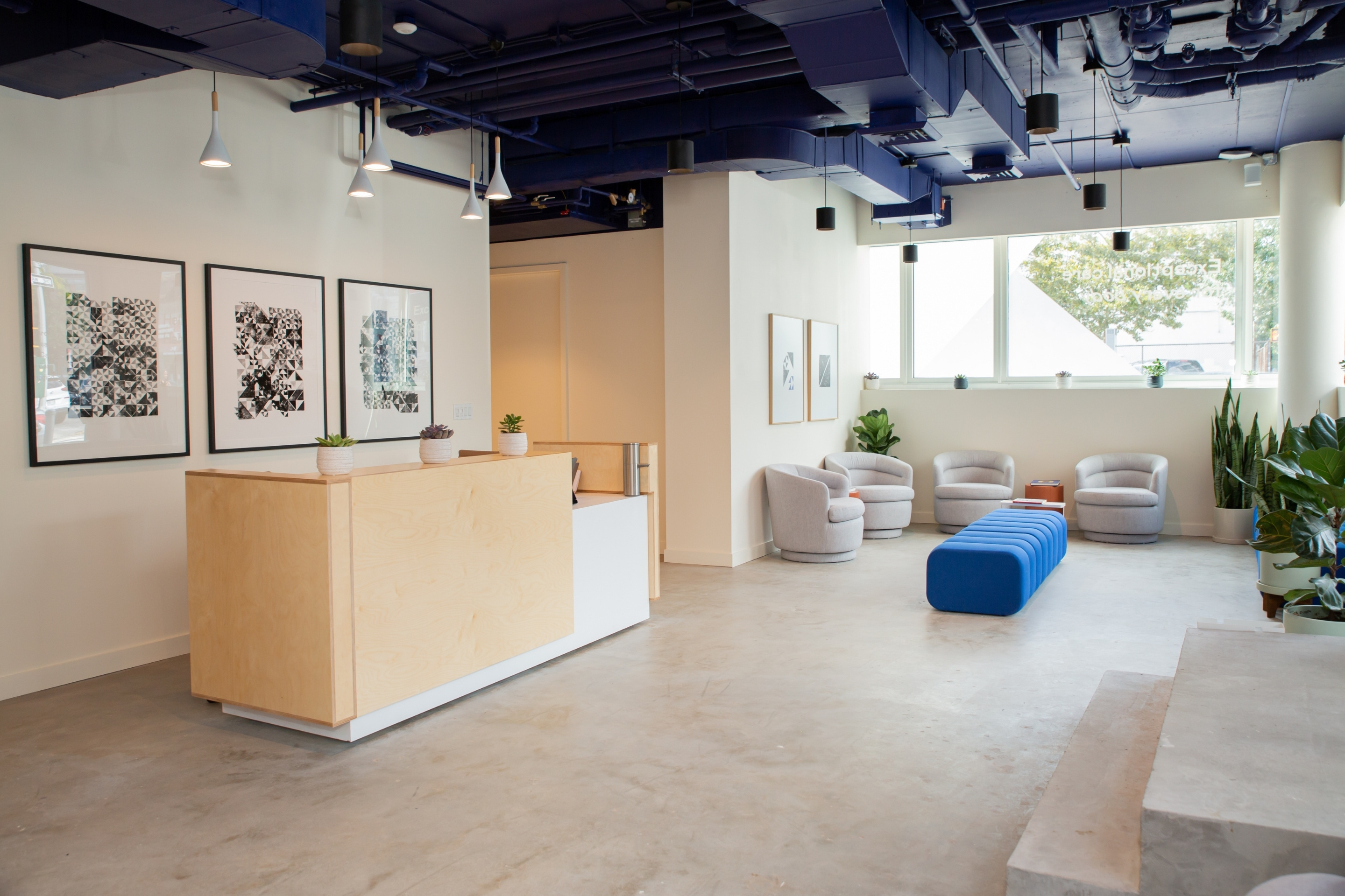 Modern office living room with couch and decorative plant