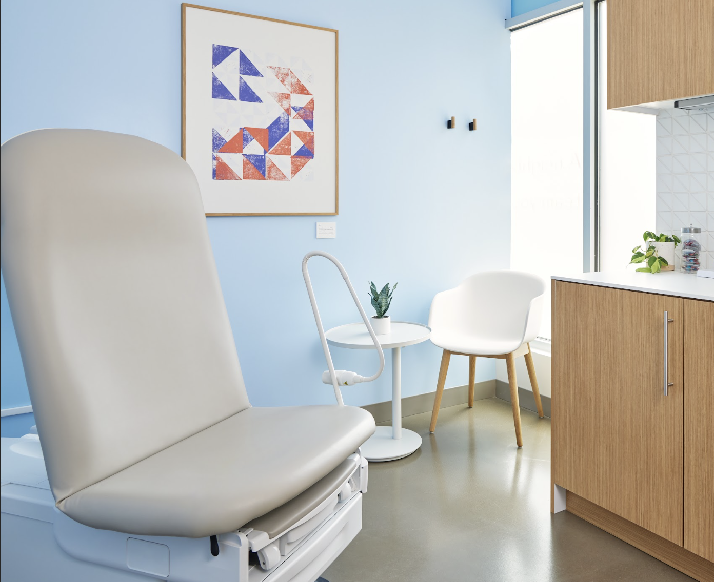 Comfortable clinic interior with artwork and plants