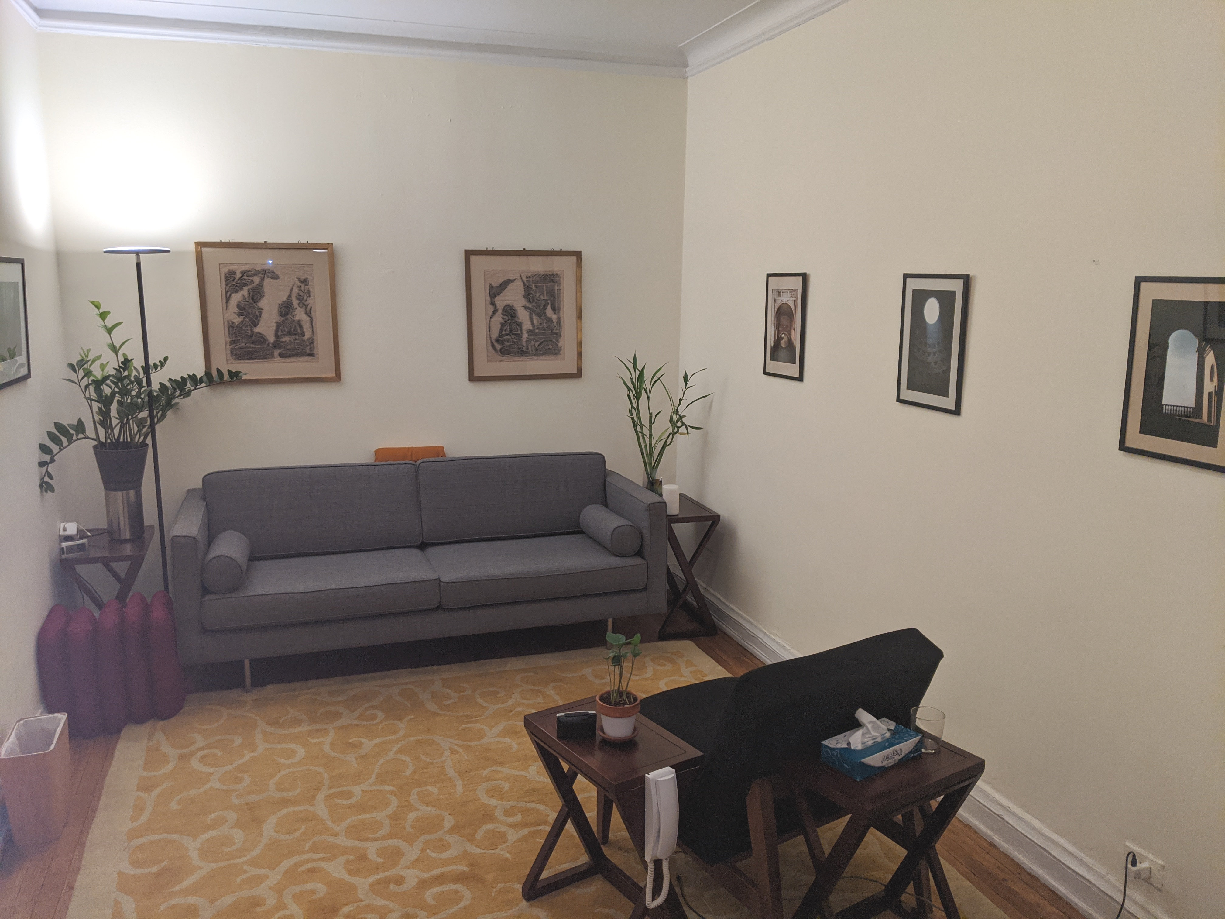 Office living room with couch, table, and plant